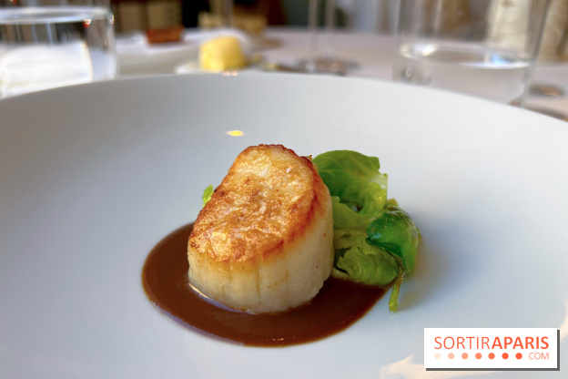 Alliance - Noix de Saint-Jacques à l'unilatéral, chou de Bruxelles, sauce réduite au vin rouge et barbes 