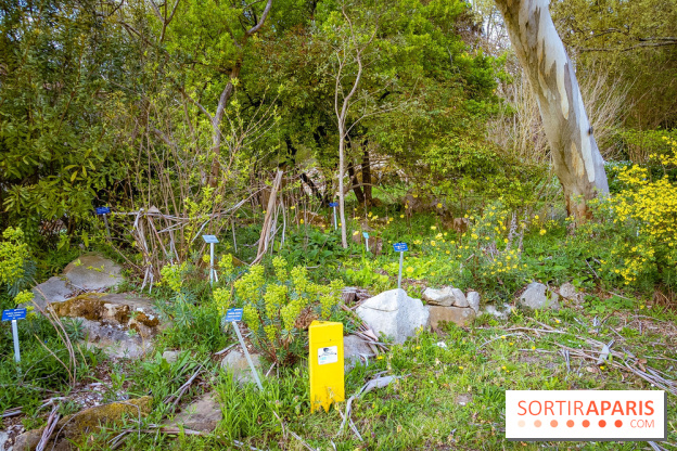 Le jardin botanique de Launay et arboretum de l'Université Paris Saclay à Orsay - les photos - A7C09556