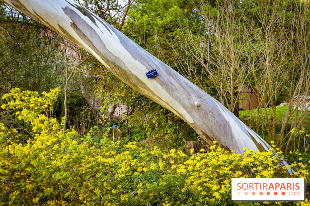 Le jardin botanique de Launay et arboretum de l'Université Paris Saclay à Orsay - les photos - A7C09558