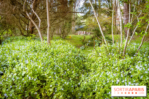 Le jardin botanique de Launay et arboretum de l'Université Paris Saclay à Orsay - les photos