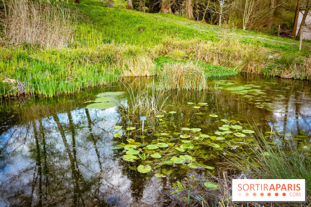 Le jardin botanique de Launay et arboretum de l'Université Paris Saclay à Orsay - les photos - A7C09564