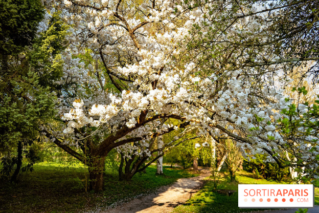 Le jardin botanique de Launay et arboretum de l'Université Paris Saclay à Orsay - les photos - A7C09574