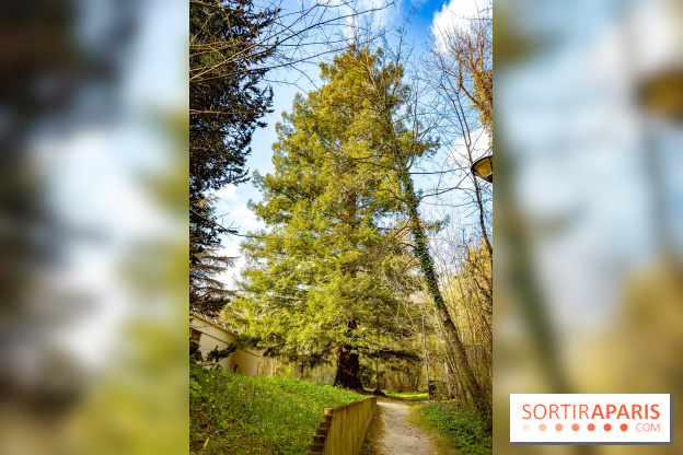 Le jardin botanique de Launay et arboretum de l'Université Paris Saclay à Orsay - les photos
