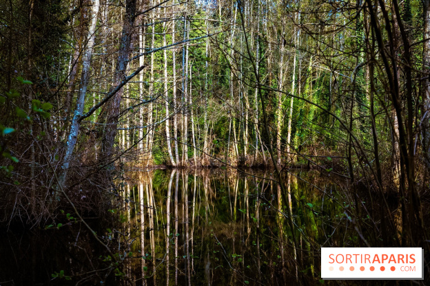 Le jardin botanique de Launay et arboretum de l'Université Paris Saclay à Orsay - les photos - A7C09596