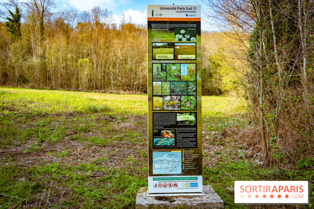 Le jardin botanique de Launay et arboretum de l'Université Paris Saclay à Orsay - les photos - A7C09599