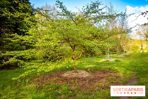 Le jardin botanique de Launay et arboretum de l'Université Paris Saclay à Orsay - les photos