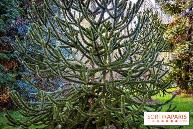 Le jardin botanique de Launay et arboretum de l'Université Paris Saclay à Orsay - les photos