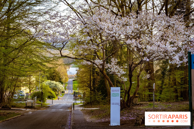 Le jardin botanique de Launay et arboretum de l'Université Paris Saclay à Orsay - les photos - A7C09607