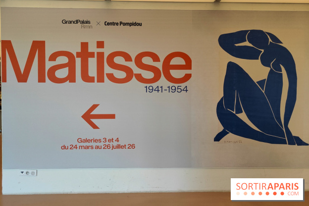 Matisse 1941-1954 : la grande exposition rétrospective sur le peintre incontournable au Grand Palais - fotor 1774268371524