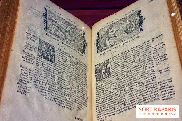 Cartes imaginaires - IMG 4289