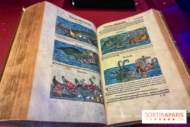 Cartes imaginaires - IMG 4292