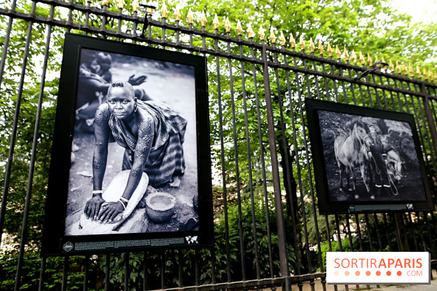 Fragilités & Résiliences, nos photos de l'expo dévoilée sur les grilles du Jardin du Luxembourg