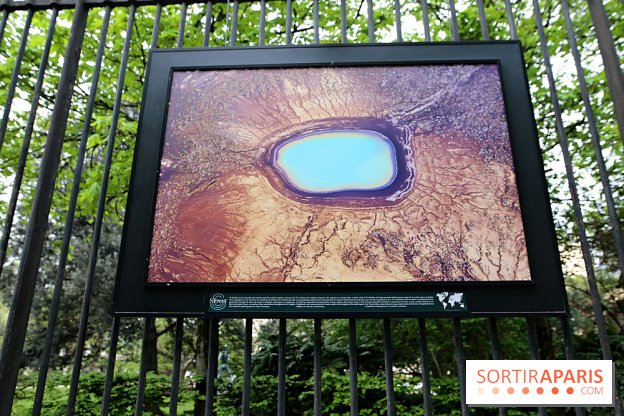 Fragilités & Résiliences, nos photos de l'expo dévoilée sur les grilles du Jardin du Luxembourg