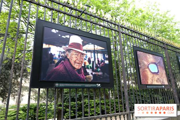 Fragilités & Résiliences, nos photos de l'expo dévoilée sur les grilles du Jardin du Luxembourg