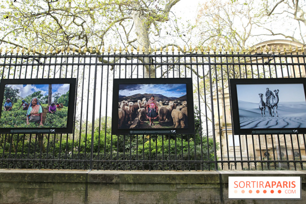 Fragilités & Résiliences, nos photos de l'expo dévoilée sur les grilles du Jardin du Luxembourg