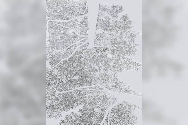 Souffle de fer - WhatsApp Image 2026 03 27 at 19.02.05 — копия