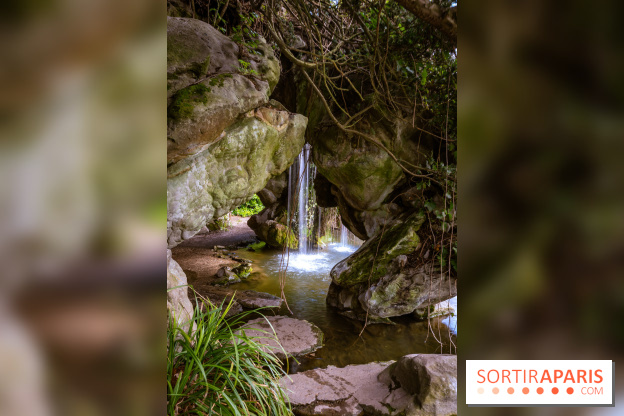 Le Parc de Bagatelle au printemps, cerisier, tulipes et jonquilles - photos - A7C00672