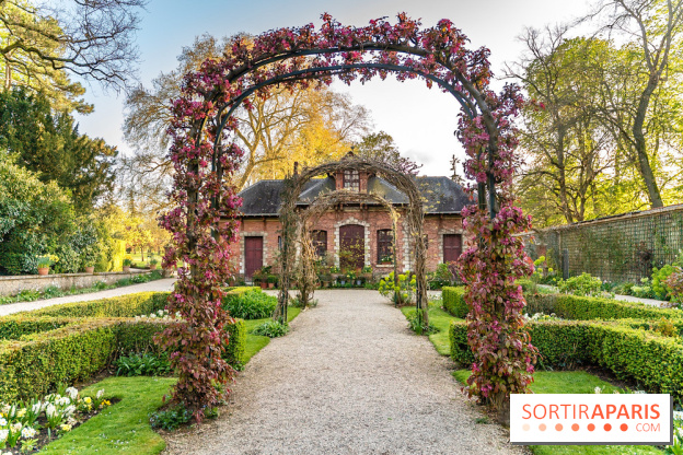 Le Parc de Bagatelle au printemps, cerisier, tulipes et jonquilles - photos - A7C00854