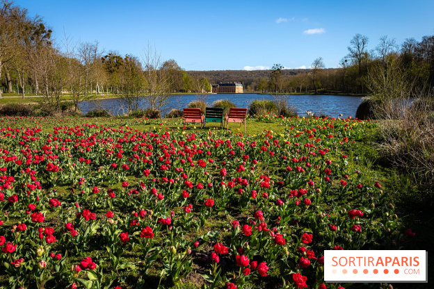 Les tulipes du Château de Dampierre, son jardin anglais et le jardin Le Nôtre
