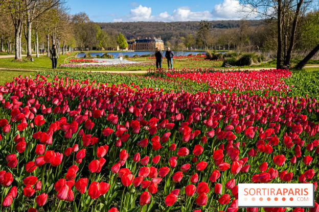 Les tulipes du Château de Dampierre, son jardin anglais et le jardin Le Nôtre