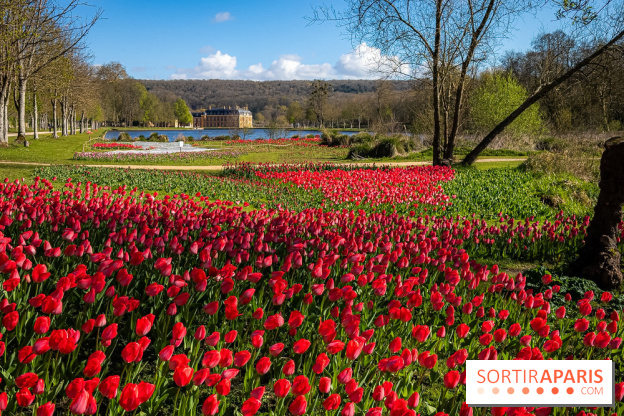 Les tulipes du Château de Dampierre, son jardin anglais et le jardin Le Nôtre