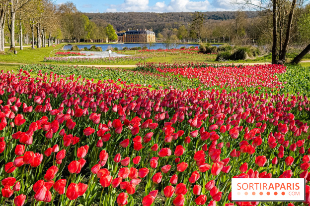 Les tulipes du Château de Dampierre, son jardin anglais et le jardin Le Nôtre
