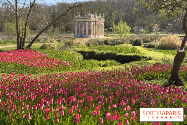 Les tulipes du Château de Dampierre, son jardin anglais et le jardin Le Nôtre