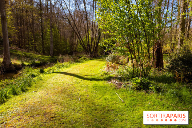 Les tulipes du Château de Dampierre, son jardin anglais et le jardin Le Nôtre - IMG 2932