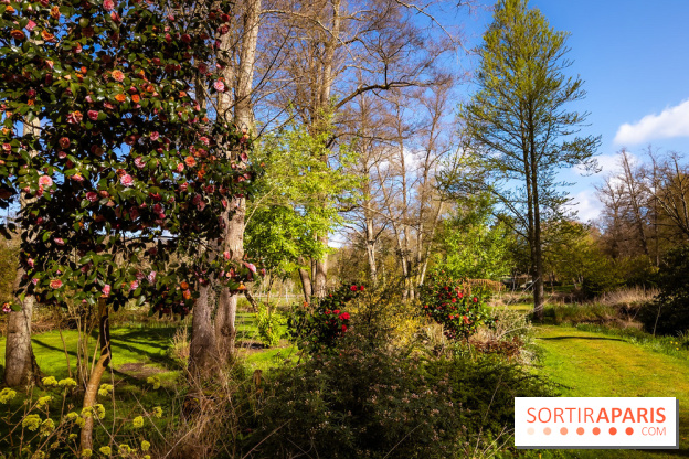 Les tulipes du Château de Dampierre, son jardin anglais et le jardin Le Nôtre - IMG 2937