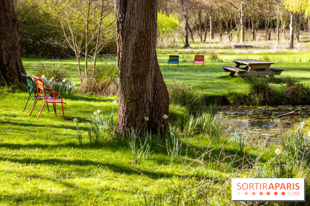 Les tulipes du Château de Dampierre, son jardin anglais et le jardin Le Nôtre - IMG 2938