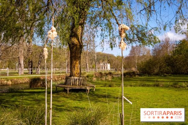 Les tulipes du Château de Dampierre, son jardin anglais et le jardin Le Nôtre - IMG 2950