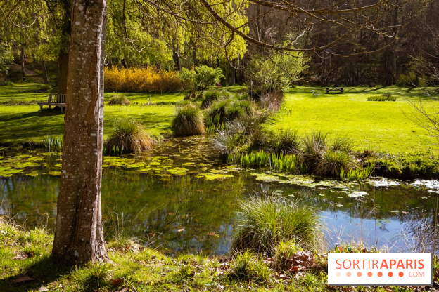 Les tulipes du Château de Dampierre, son jardin anglais et le jardin Le Nôtre - IMG 2953