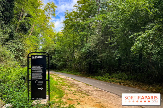 Le Cyclop, le géant d’acier caché dans les bois de Milly-la-Forêt - IMG 5815