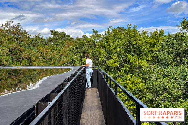 Le Cyclop, le géant d’acier caché dans les bois de Milly-la-Forêt - IMG 6068