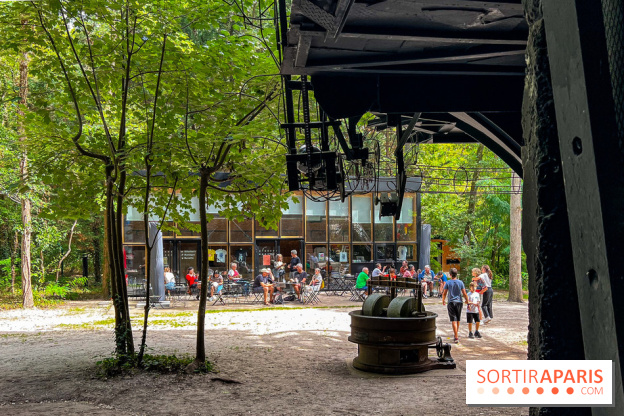 Le Cyclop, le géant d’acier caché dans les bois de Milly-la-Forêt - IMG 6222