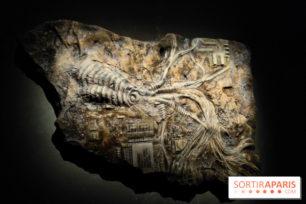 Les Extatiques souterrains : un parcours artistique introspectif sous la Grande arche de La Défense - fotor 1775122120427