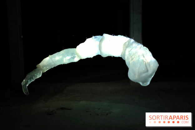 Les Extatiques souterrains : un parcours artistique introspectif sous la Grande arche de La Défense - fotor 1775122179671