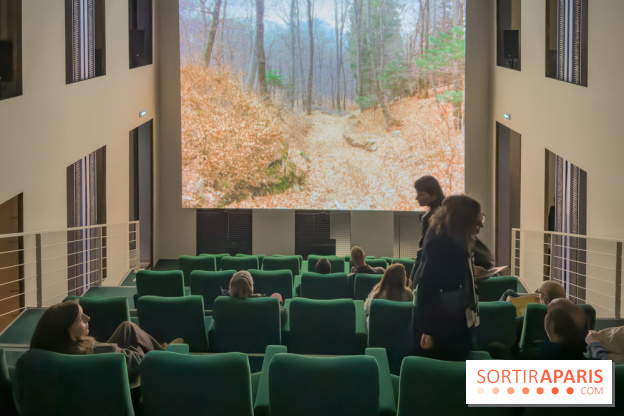 Expositions Diego Marcon et Ladji Diaby à Lafayette Anticipations - IMG 5538