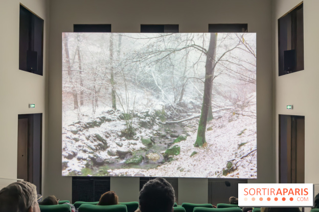 Expositions Diego Marcon et Ladji Diaby à Lafayette Anticipations - IMG 5552