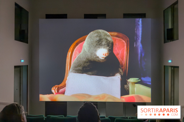 Expositions Diego Marcon et Ladji Diaby à Lafayette Anticipations - IMG 5562