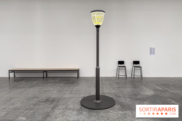 Benoît Piéron au Palais de Tokyo : une exposition sur le soin et la vulnérabilité - IMG 5868