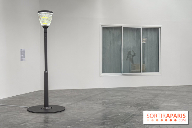 Benoît Piéron au Palais de Tokyo : une exposition sur le soin et la vulnérabilité - IMG 5871