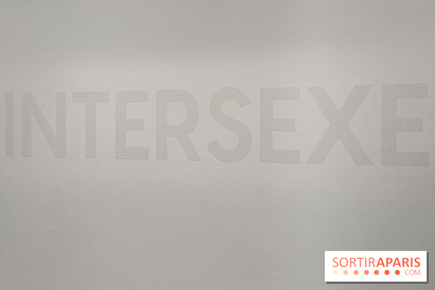 Benoît Piéron au Palais de Tokyo : une exposition sur le soin et la vulnérabilité - IMG 5880