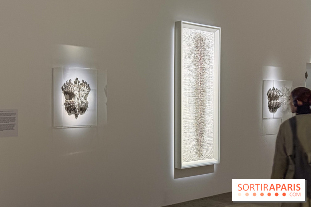 Cathy de Monchaux au Palais de Tokyo : la rétrospective à voir à Paris