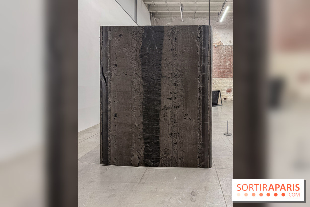 Au Palais de Tokyo, Cheryl Marie Wade explore la culture crip et la poésie engagée - IMG 5951