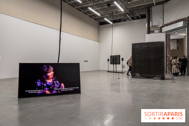 Au Palais de Tokyo, Cheryl Marie Wade explore la culture crip et la poésie engagée - IMG 5955