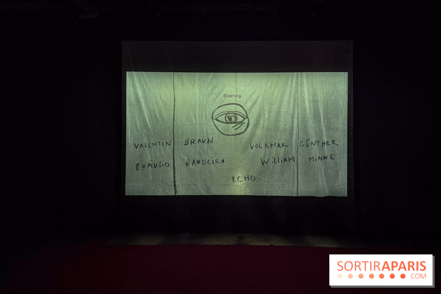 Pauline Curnier Jardin au Palais de Tokyo : l'exposition autour des mythes et des corps - IMG 5995