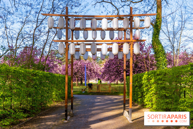 Hanami au Parc de Sceaux 2026, les cerisiers en fleurs et ses  animations