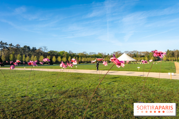 Hanami au Parc de Sceaux 2026, les cerisiers en fleurs et ses  animations - A7C01362