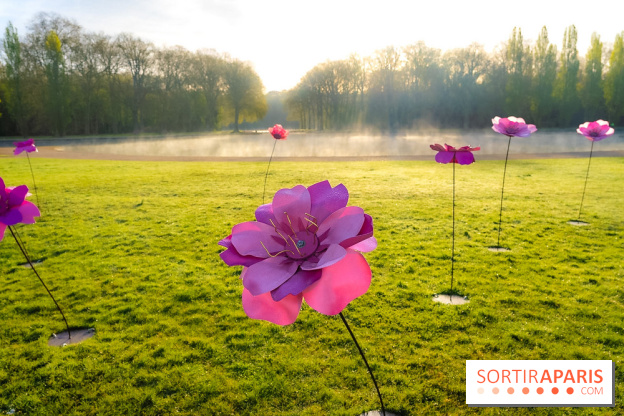 Hanami au Parc de Sceaux 2026, les cerisiers en fleurs et ses  animations